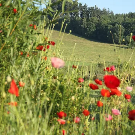 Ferienhaus Outline Svetla *